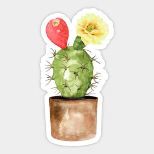 Hand painted Watercolor Cactus in Terracotta pot Sticker